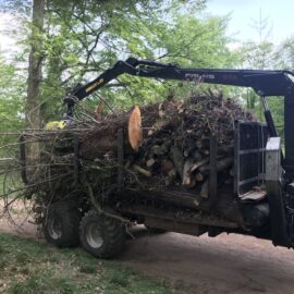 Arboristika Olomouc